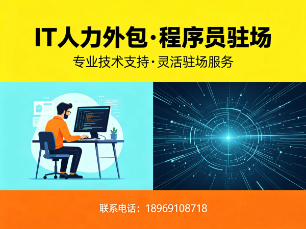 长沙IT人力外包解决方案：破解程序员驻场开发难题，助力企业高效用人