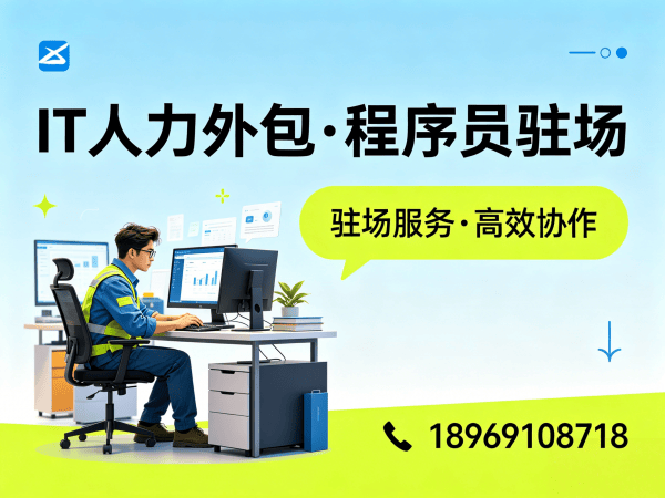 常州IT人力外包解决方案：Go开发程序员驻场服务，解决企业技术人才短缺难题