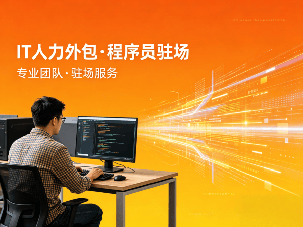 泉州IT人力外包解决方案：后端开发程序员驻场服务，解决企业技术人才难题