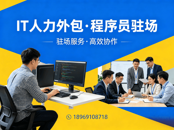 深圳Go开发程序员或是工程师人力外包解决方案，解决企业技术人才需求痛点